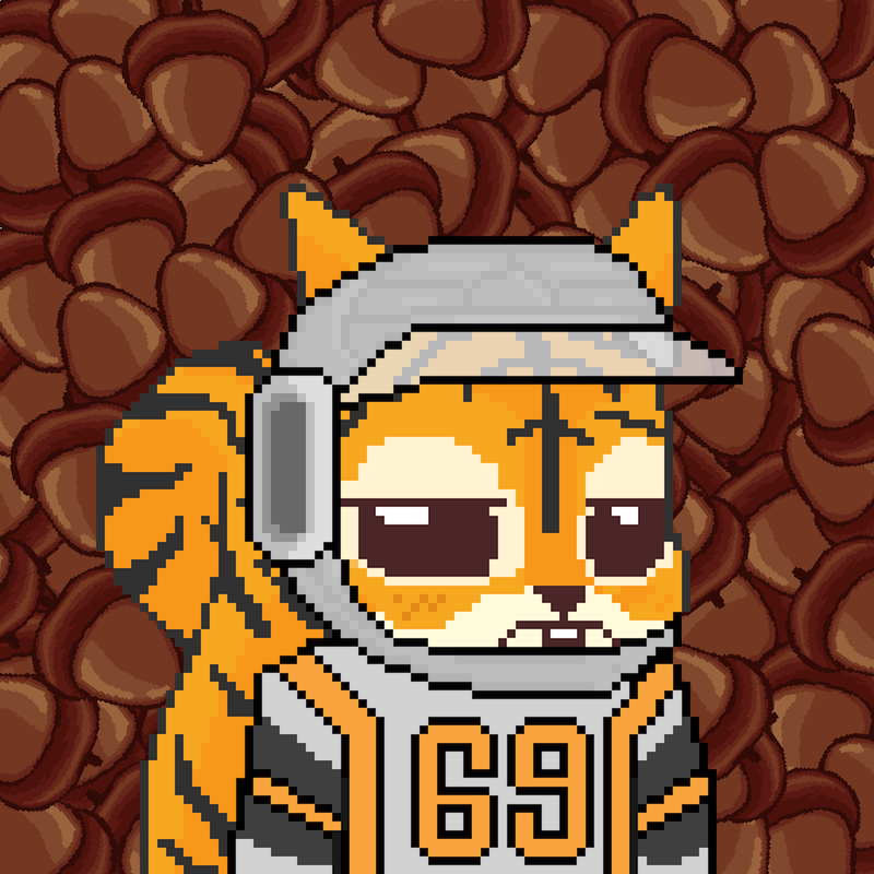 Pixel Squirrels #4734